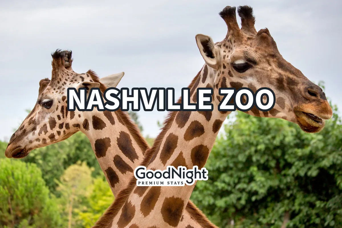 Two giraffes stand amid lush greenery, inviting families to experience up-close animal encounters. The joyful mood captures the excitement of a day out at the zoo, highlighting opportunities for educational and playful experiences.